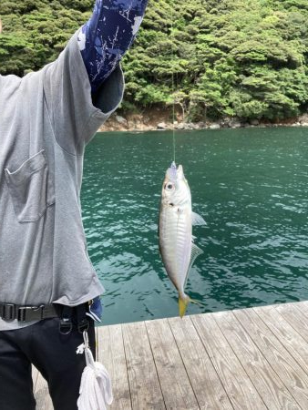 アジングで初釣果