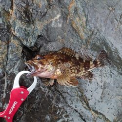 新規開拓は難しい