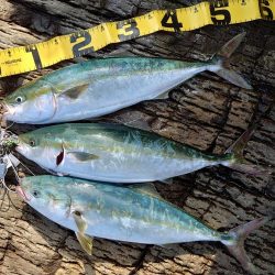 8か月ぶりの釣果