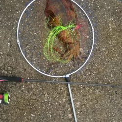 濁りのタフコンからまさかの！？