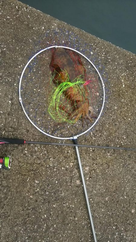 濁りのタフコンからまさかの！？