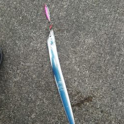 ショアジギングからのラインゲーム