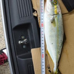 なんとかツバス