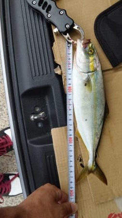 なんとかツバス