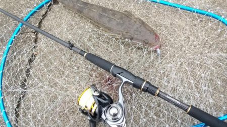 マゴチ狙い　ボトムワインド