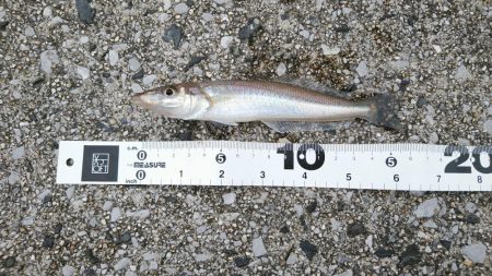 注意喚起も含めて……