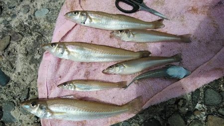 播磨新島撃沈後高砂港でリベンジ