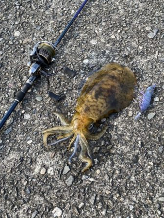 大きくなーれ！