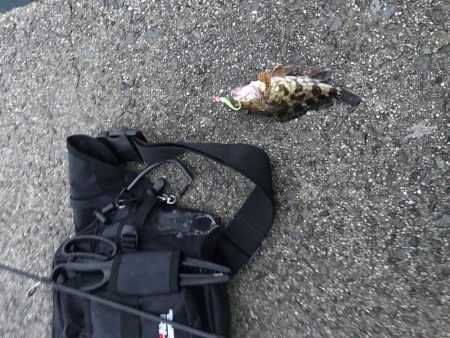 安定の人の多さ