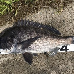 イチノ兄弟、釣果!