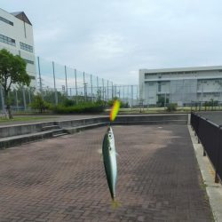 雨の前にサバ釣り