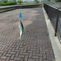 雲の切れ間の30分