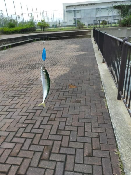 雲の切れ間の30分