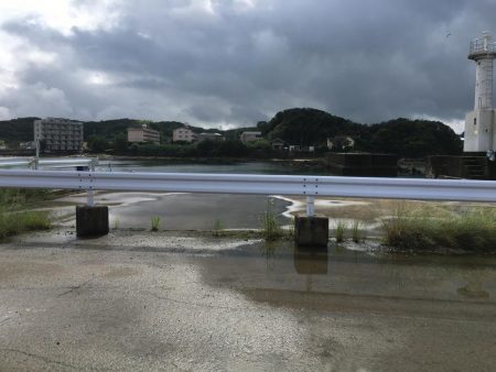 コアジ35匹、コサバ23匹