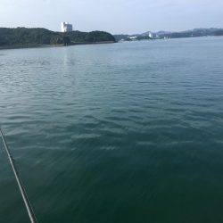 ケンサキ・アオリ狙いが・・・