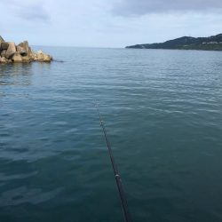 アジ3匹、コサバ26匹