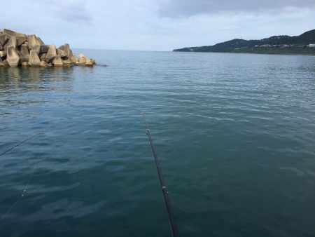 アジ3匹、コサバ26匹