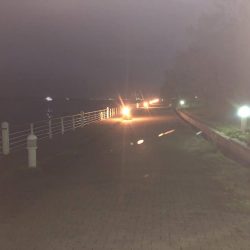 早朝アジングin大阪舞洲2