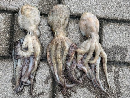 大雨の後は、、、