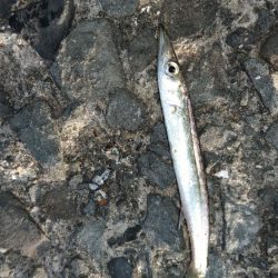 平日休暇を利用して