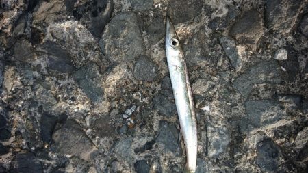 平日休暇を利用して