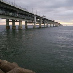 梅雨間アジング