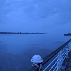 サバゲー好調 たまに中鯵が