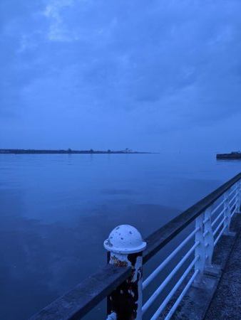 サバゲー好調 たまに中鯵が