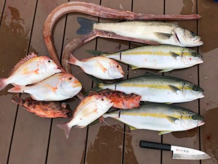 船酔いなんてしないなんて言わないよ絶対