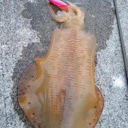 キロはないけど