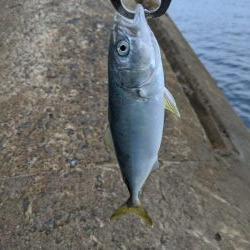 相変わらずのチビ