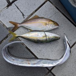 エソいじめ…(笑)