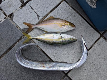 エソいじめ…(笑)