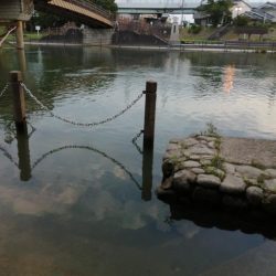 今日も子供と！