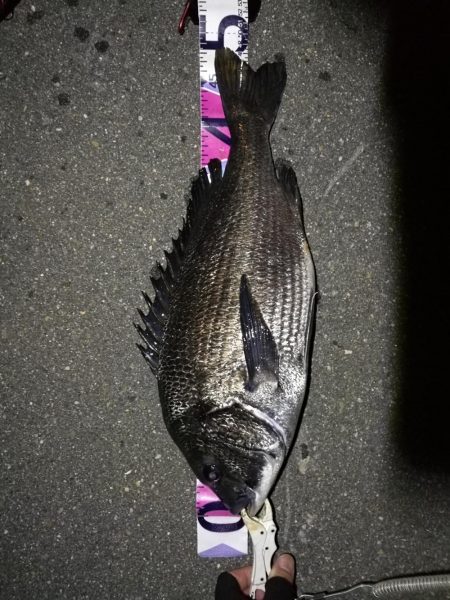 （2020/07/21 南港ヘチ釣り　 真…