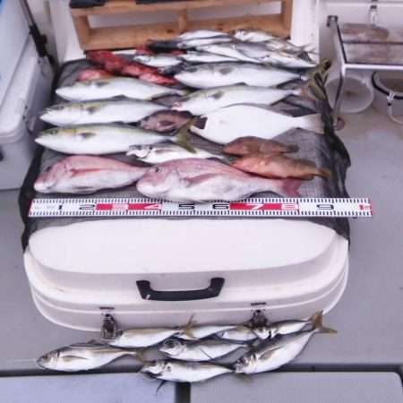 遊漁船SOUTH釣果