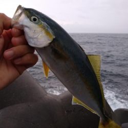 雨のショアジギ