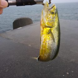 雨の中がんばったよ