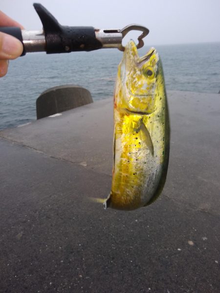雨の中がんばったよ