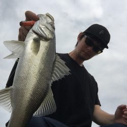 初投稿!長崎県大村市 トップウォータールアーゲーム