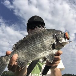 デイトップチニング!