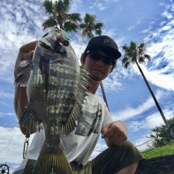 長崎 大村市周辺 チヌ、シーバス トップルアーゲーム