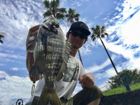 長崎 大村市周辺 チヌ、シーバス トップルアーゲーム