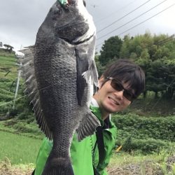 チニングゲーム