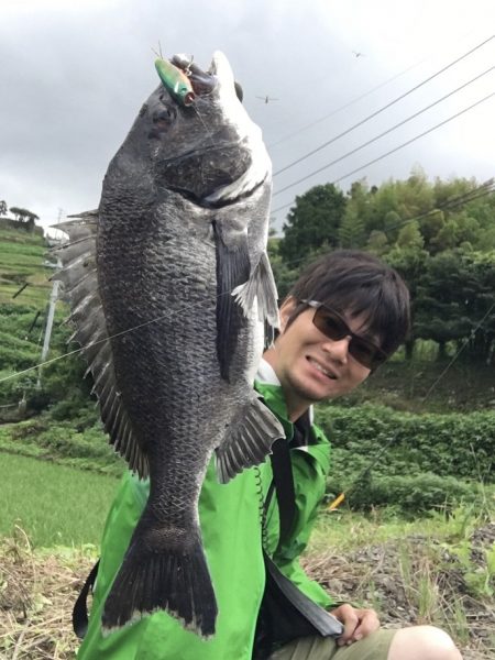 チニングゲーム