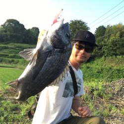 チヌ ルアーゲーム