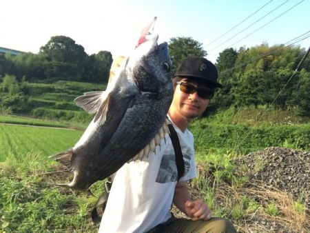 チヌ ルアーゲーム