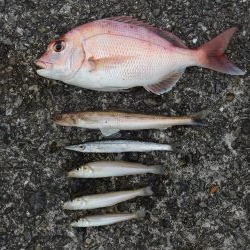 雨後のキスは不調