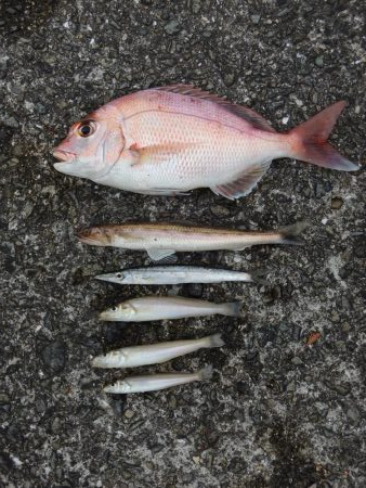 雨後のキスは不調