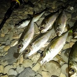 フロートゲーム